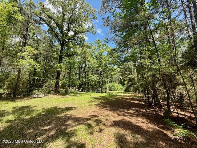 Magnolia Holmesville Road McComb, MS 39648 - Photo 65 of 74 IMG_8228