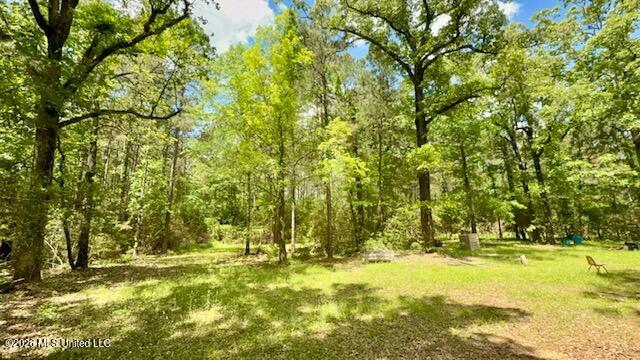 Magnolia Holmesville Road McComb, MS 39648 - Photo 66 of 74 IMG_8229