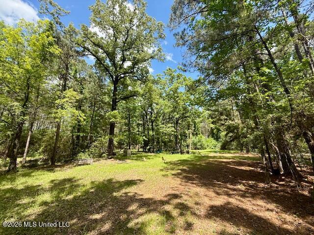 Magnolia Holmesville Road McComb, MS 39648 - Photo 67 of 74 IMG_8231