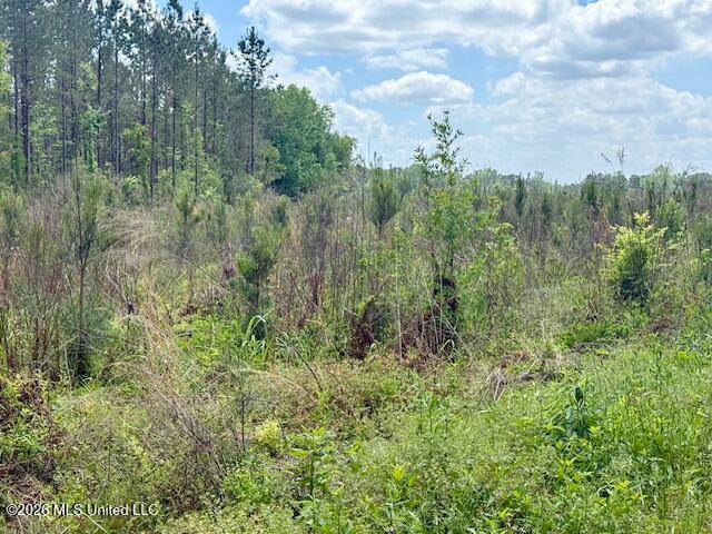 Magnolia Holmesville Road McComb, MS 39648 - Photo 69 of 74 IMG_8236