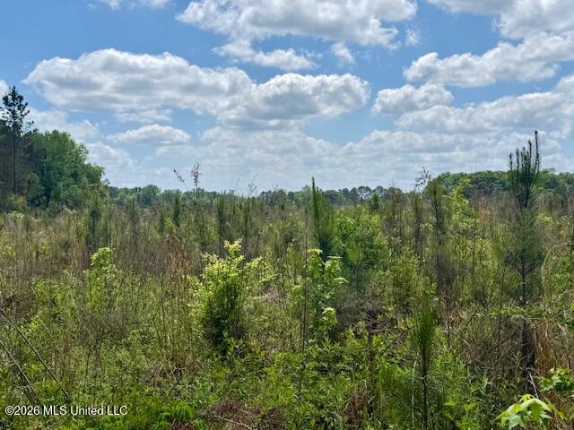 Magnolia Holmesville Road McComb, MS 39648 - Photo 70 of 74 IMG_8237