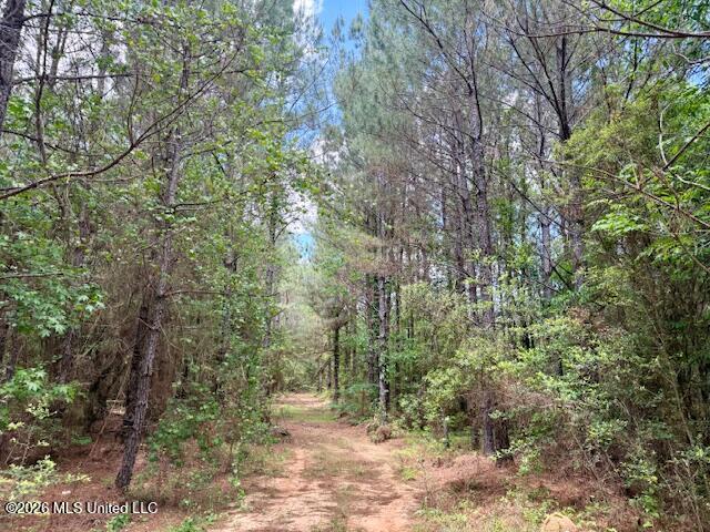 Magnolia Holmesville Road McComb, MS 39648 - Photo 71 of 74 IMG_8238