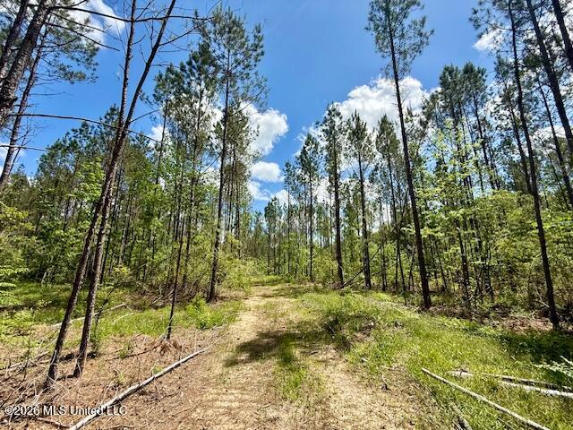 Magnolia Holmesville Road McComb, MS 39648 - Photo 72 of 74 IMG_8241