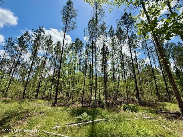 Magnolia Holmesville Road McComb, MS 39648 - Photo 73 of 74 IMG_8242