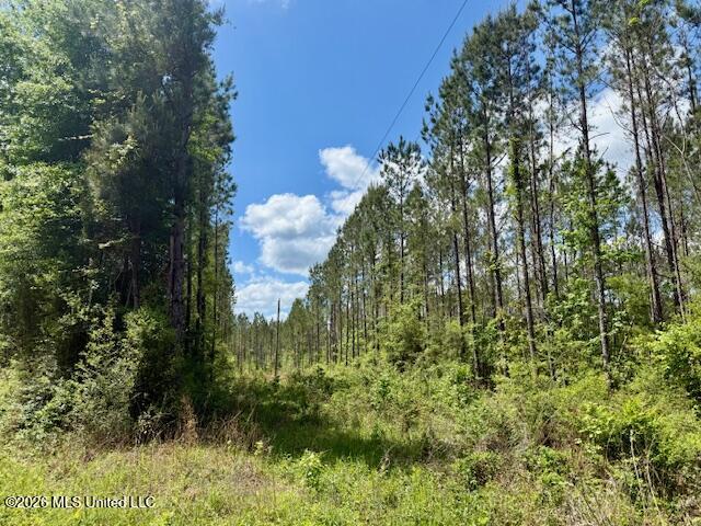 Magnolia Holmesville Road McComb, MS 39648 - Photo 8 of 74 IMG_8194