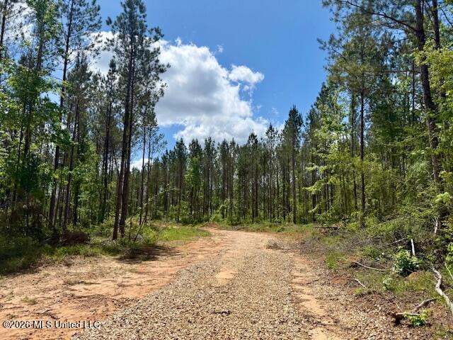 Magnolia Holmesville Road McComb, MS 39648 - Photo 9 of 74 IMG_8193