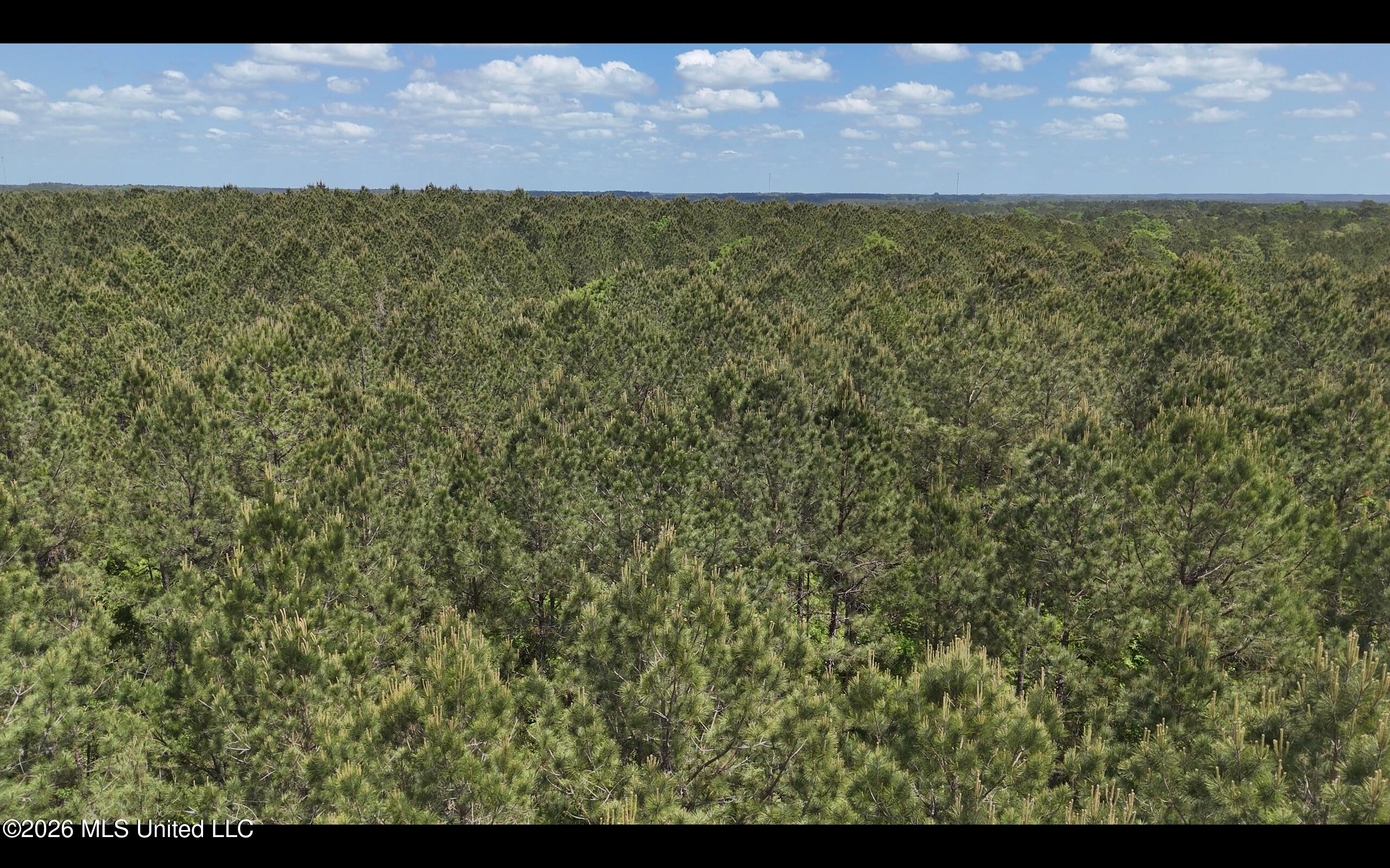Magnolia Holmesville Road McComb, MS 39648 - Photo 10 of 74 Screen Shot 2026-04-15 at 2.26.02 PM