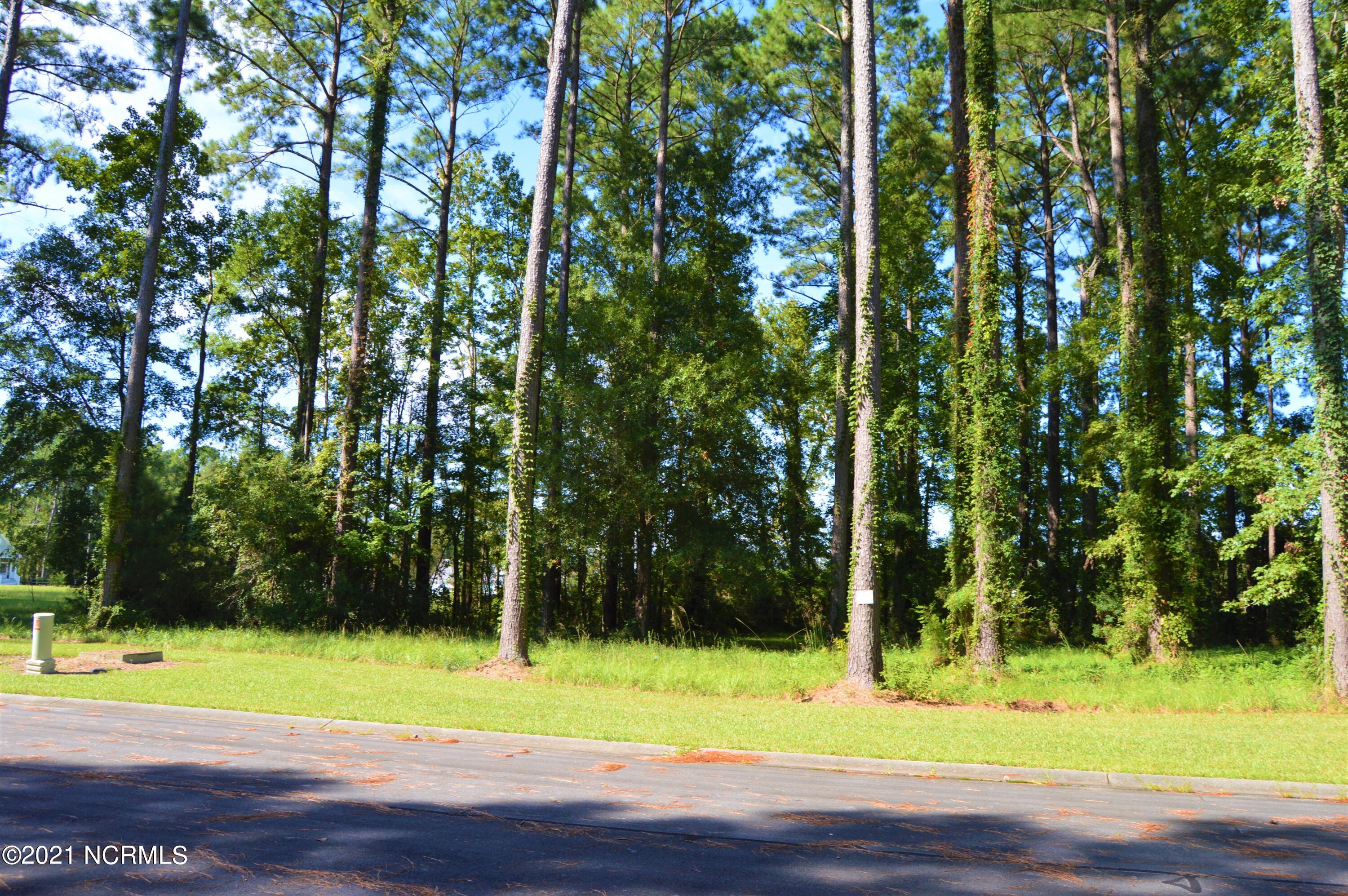 211 Corolla Loop Road Arapahoe, NC 28510 - Photo 2 of 11 DSC_1480