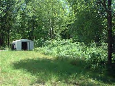 4380 North Maple Island Road Hesperia, MI 49421 - Photo 2 of 5 Additional Photo