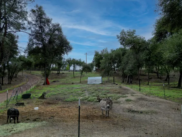 $85,000 | 12562 Bender Road, Igo, CA 96047