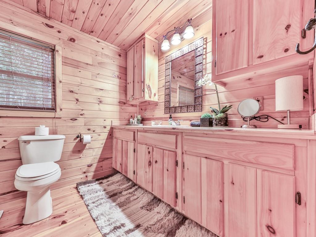 189 Smith Hill Road Blue Ridge, GA 30513 - Photo 19 of 29 a bathroom with a sink and a toilet