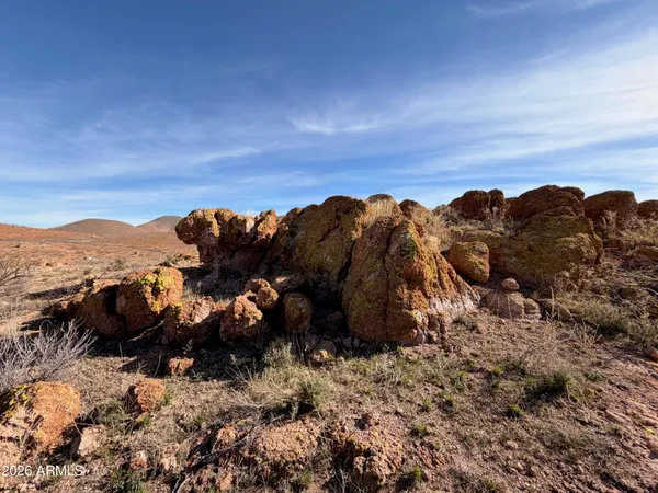 $49,900 | Tbd East Dougherty Road, Unit 207, Pearce, AZ 85625