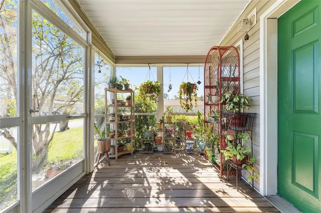 a view of back yard of the house