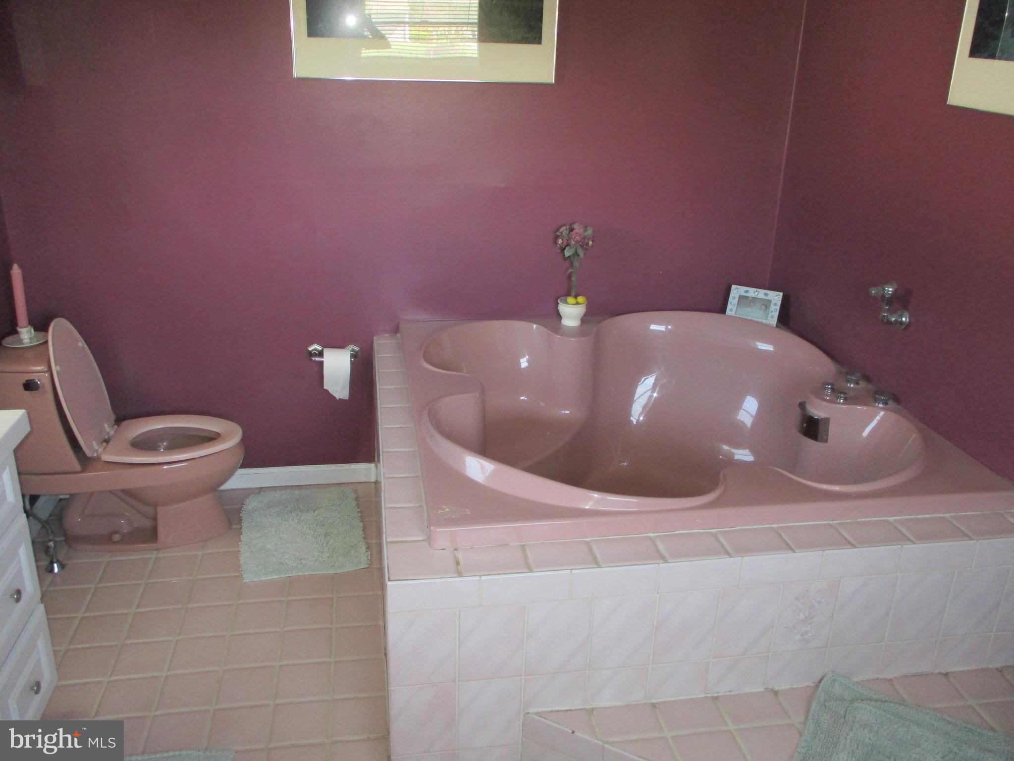 9759 Krewstown Road Philadelphia, PA 19115 - Photo 50 of 73 Master Bath Whirlpool Tub