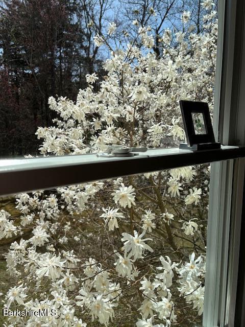 4 Birch Hill Road Peru, MA 01235 - Photo 48 of 54 Spring