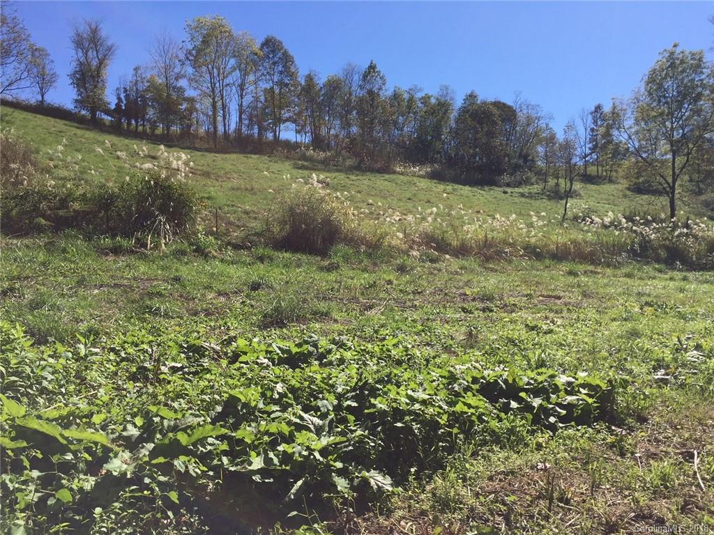 454 Bone Camp Road Marshall, NC 28753 - Photo 5 of 30 Gallery Image 5