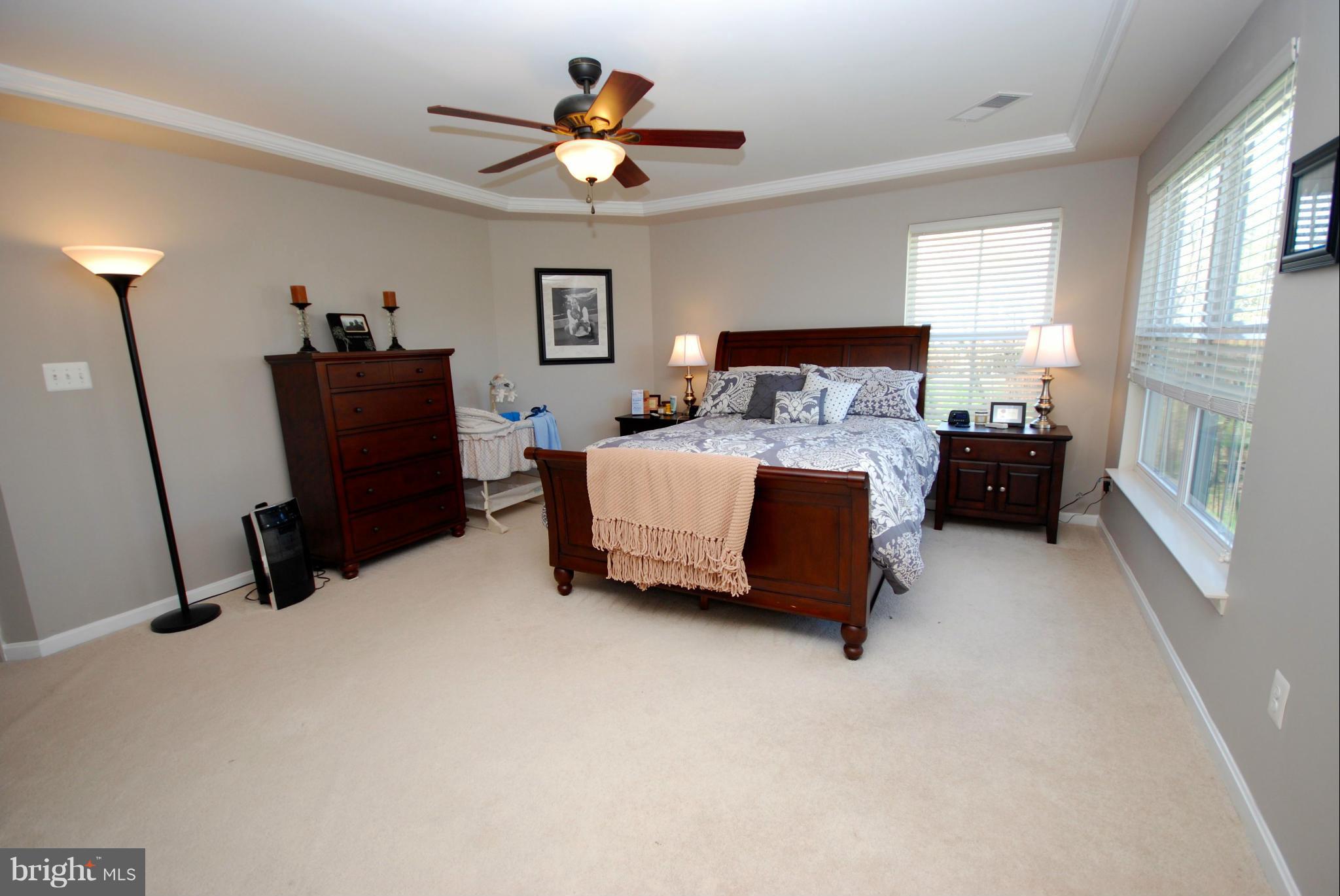 9103 Ribbon Falls Loop Bristow, VA 20136 - Photo 6 of 16 Bedroom (Master)
