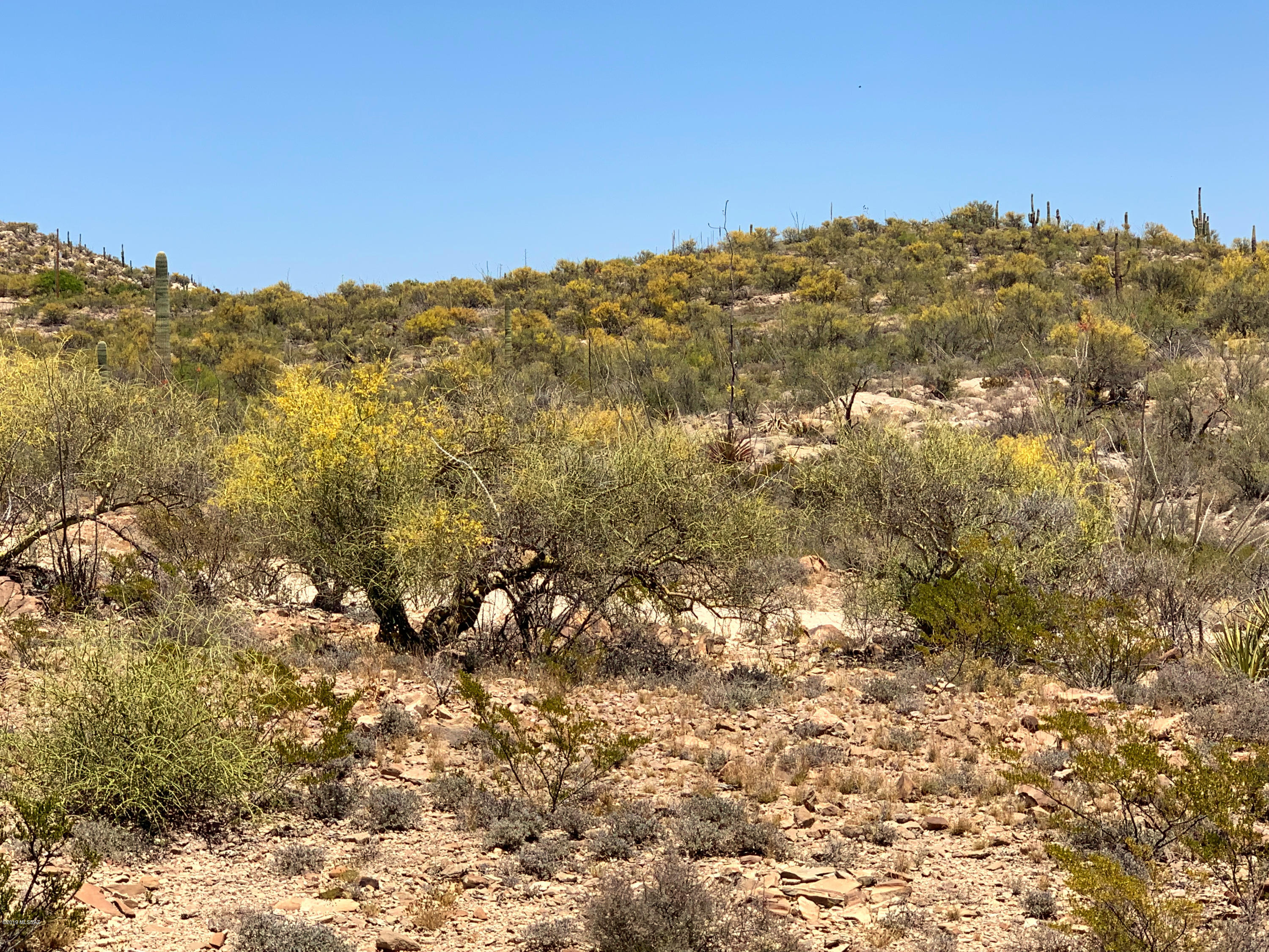 15710 East Colossal Cave - Approx Address Road Vail, AZ 85641 - Photo 11 of 15