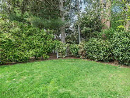 a view of a back yard