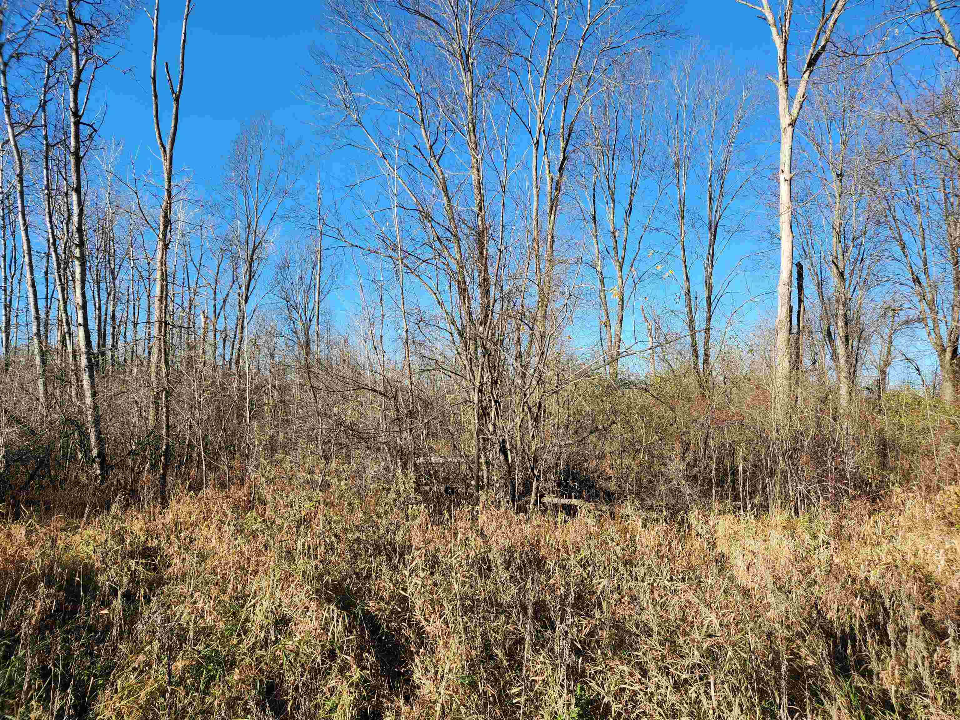 N/a South Crawford Road Omer, MI 48749 - Photo 1 of 8