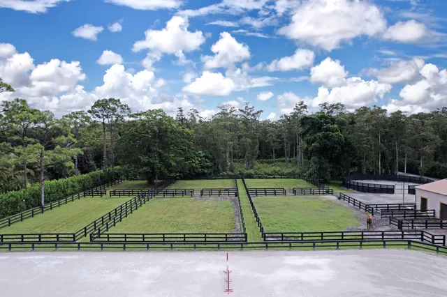 a view of a swimming pool with a yard