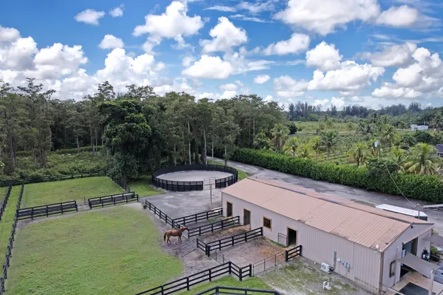 a view of a patio with table and chairs potted plants with sky view