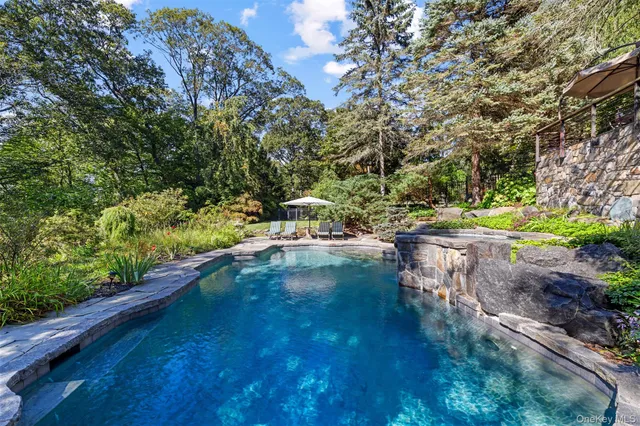 a view of swimming pool with lawn chairs and plants