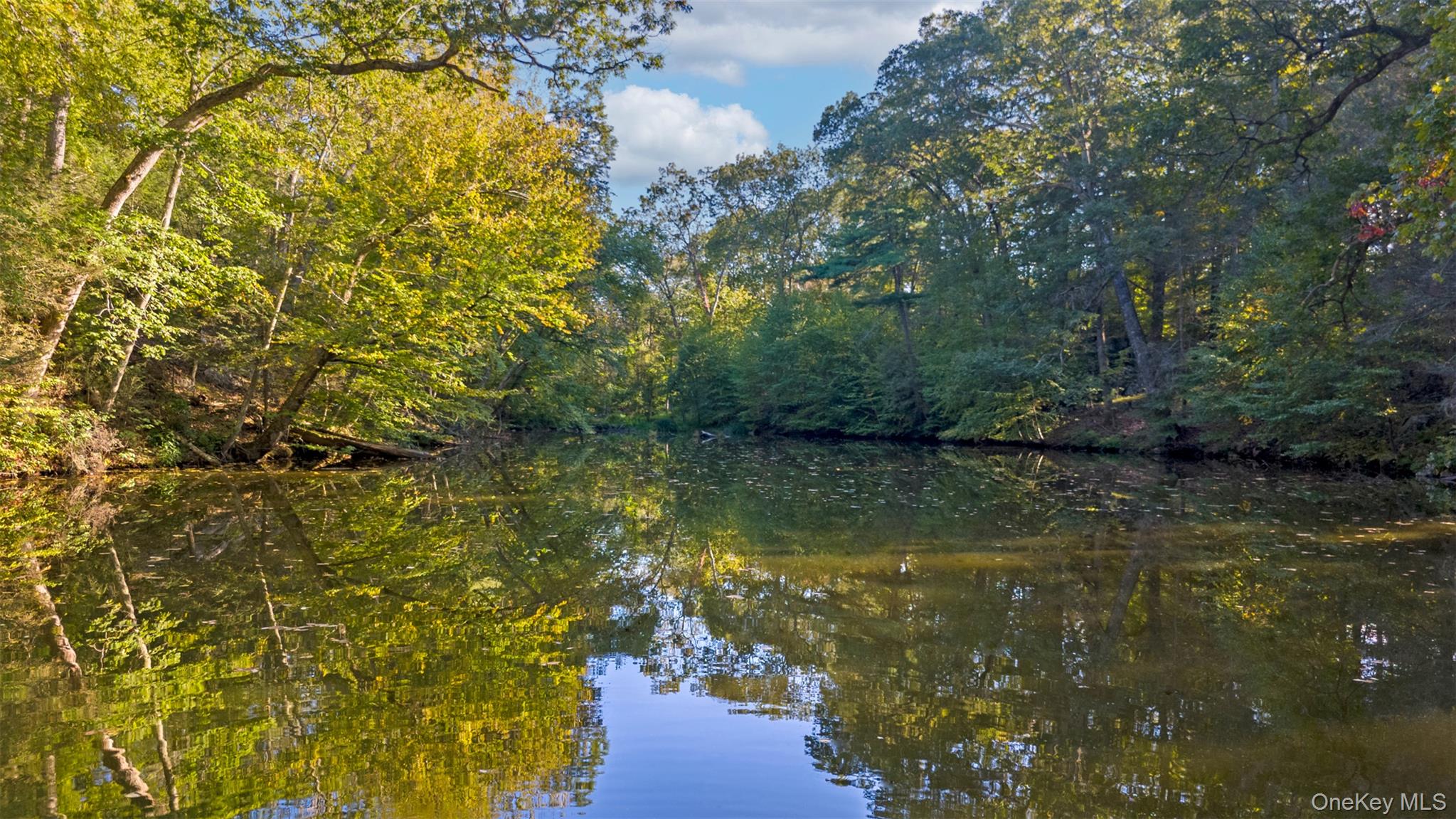 12 Bishop Park Road Pound Ridge, NY 10576 - Photo 40 of 49 a view of lake