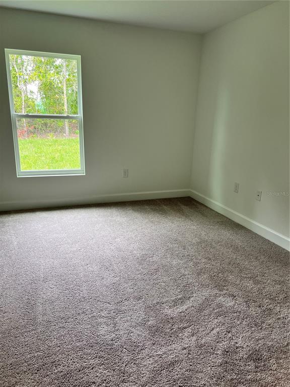 10348 Usher Street Spring Hill, FL 34608 - Photo 13 of 14