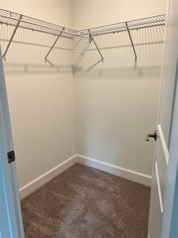 10348 Usher Street Spring Hill, FL 34608 - Photo 14 of 14