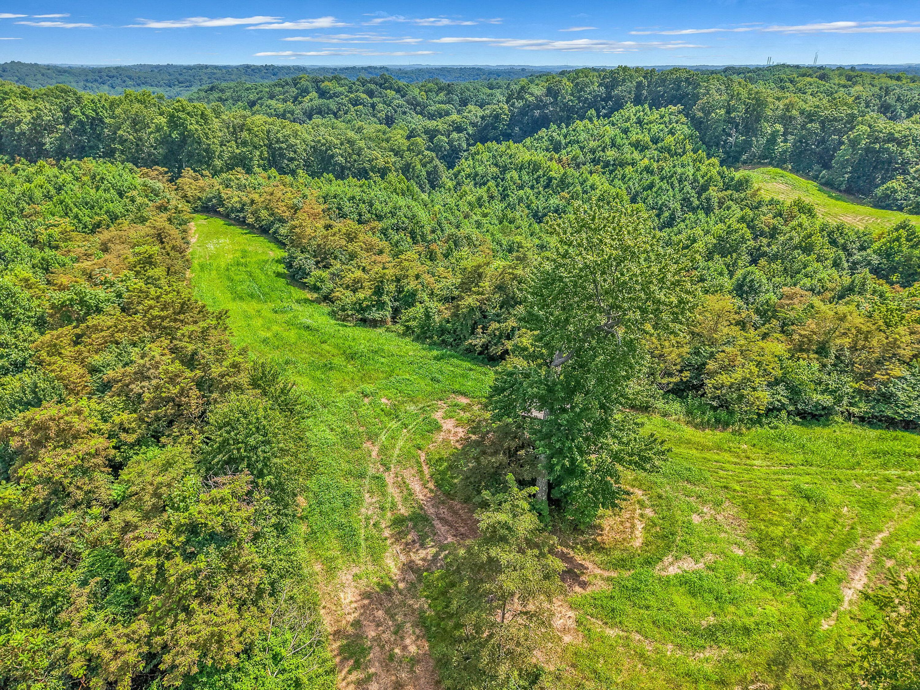 34130 Burney Hollow Road Rutland, OH 45775 - Photo 96 of 99 Burney Hollow-96