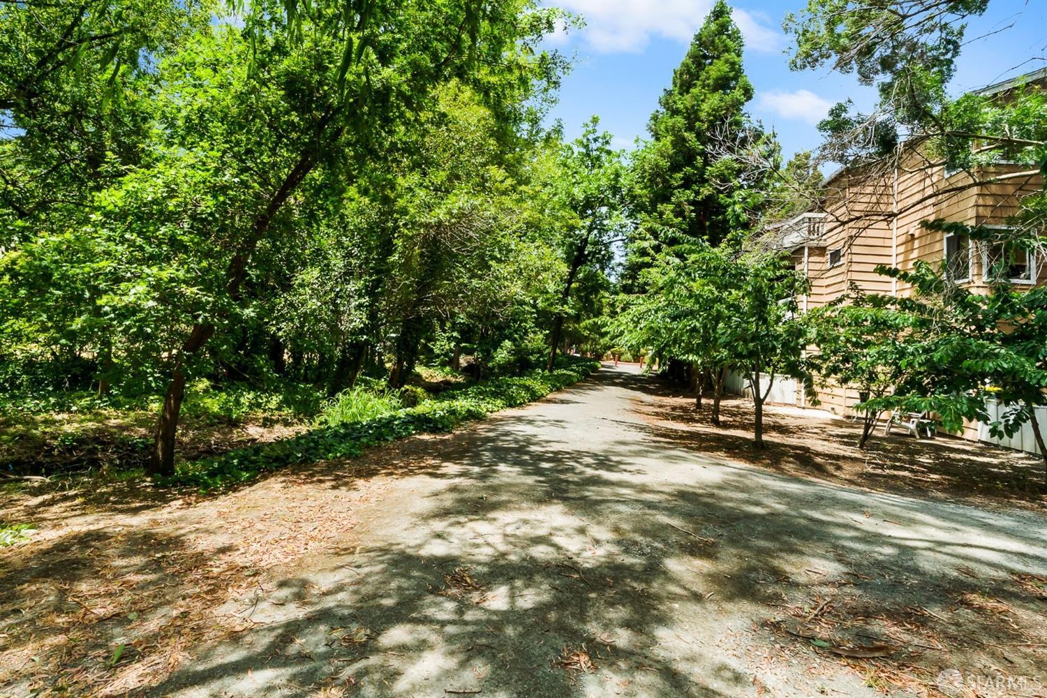 348 Mill Road Martinez, CA 94553 - Photo 20 of 28 a view of a yard with plants and trees