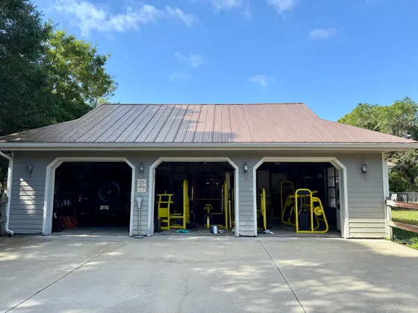a view of a trees in a yard