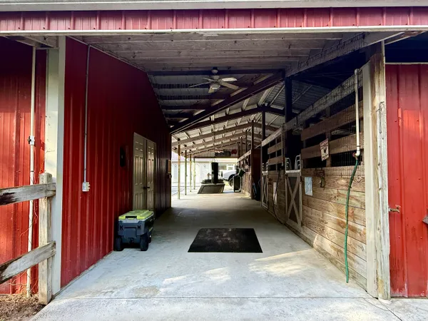 a view of a park with large trees