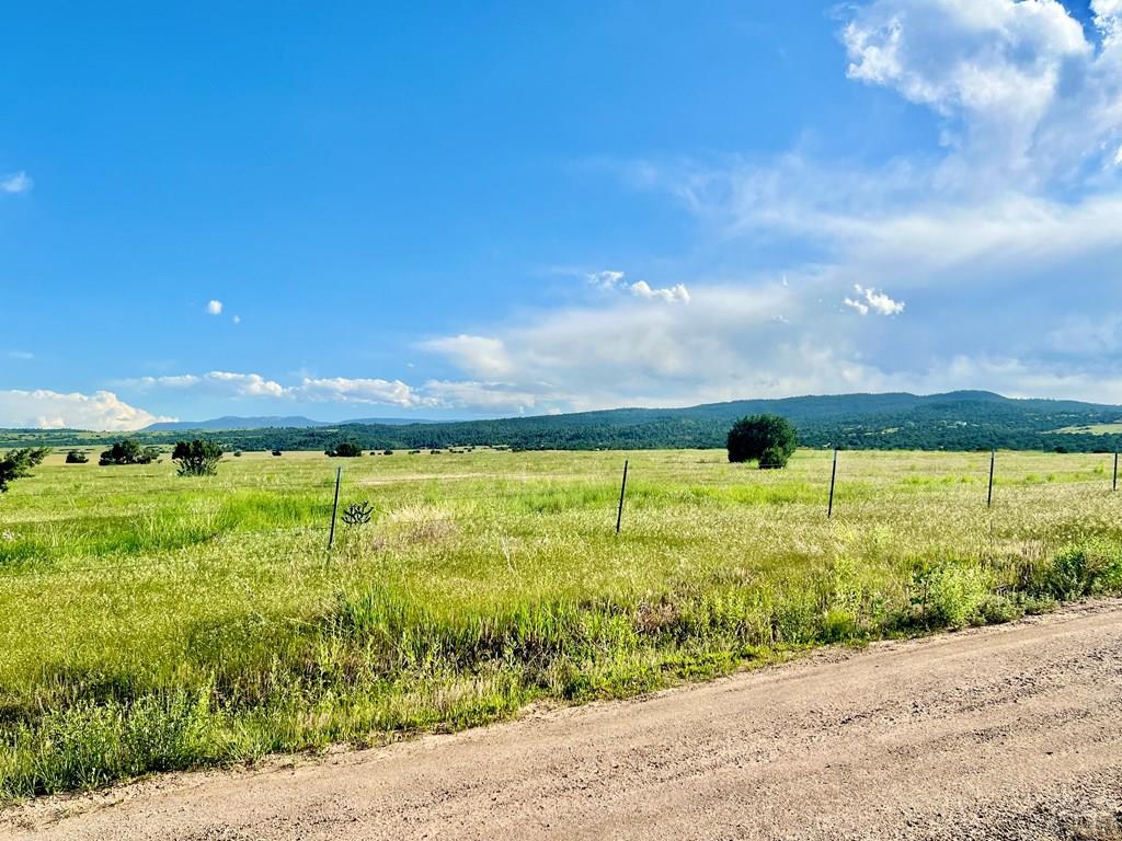 3671 Siloam Road Beulah, CO 81023 - Photo 61 of 79 Gallery Image 61