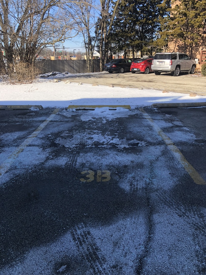 941 North Northwest Highway, Unit 3B Park Ridge, IL 60068 - Photo 26 of 26