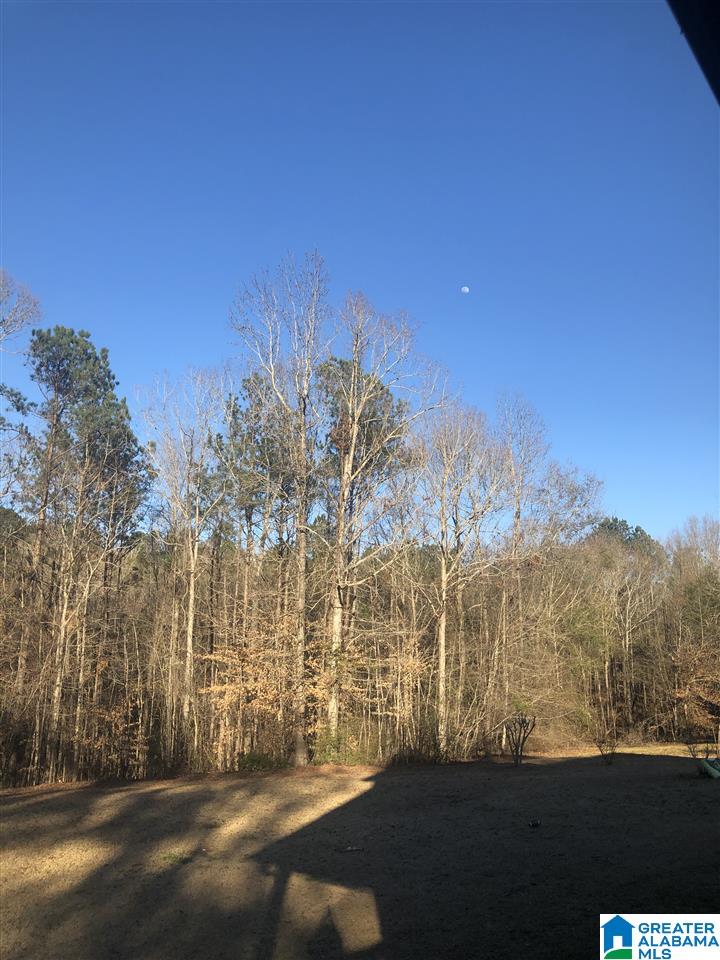 1899 County Road 76 Clanton, AL 35045 - Photo 41 of 41