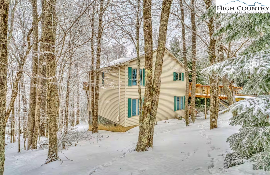 101 Doe Lane Beech Mountain, NC 28604 - Photo 2 of 31