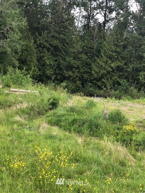 1670 Harksell Road Ferndale, WA 98248 - Photo 10 of 13 Gallery Image 10