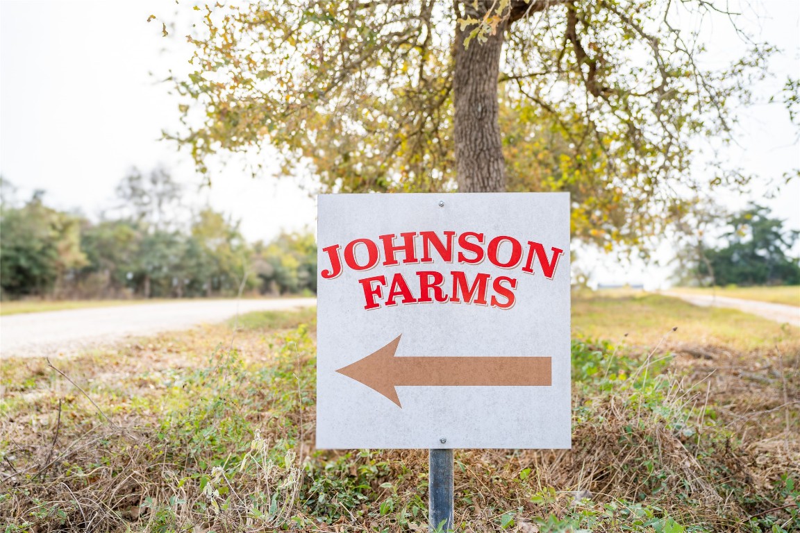 956 Johnson Farms Road Harwood, TX 78632 - Photo 12 of 24