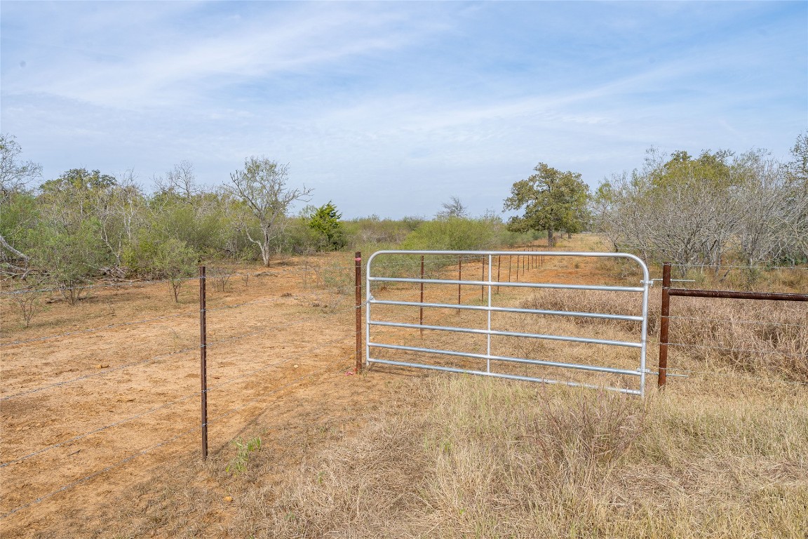 956 Johnson Farms Road Harwood, TX 78632 - Photo 20 of 24