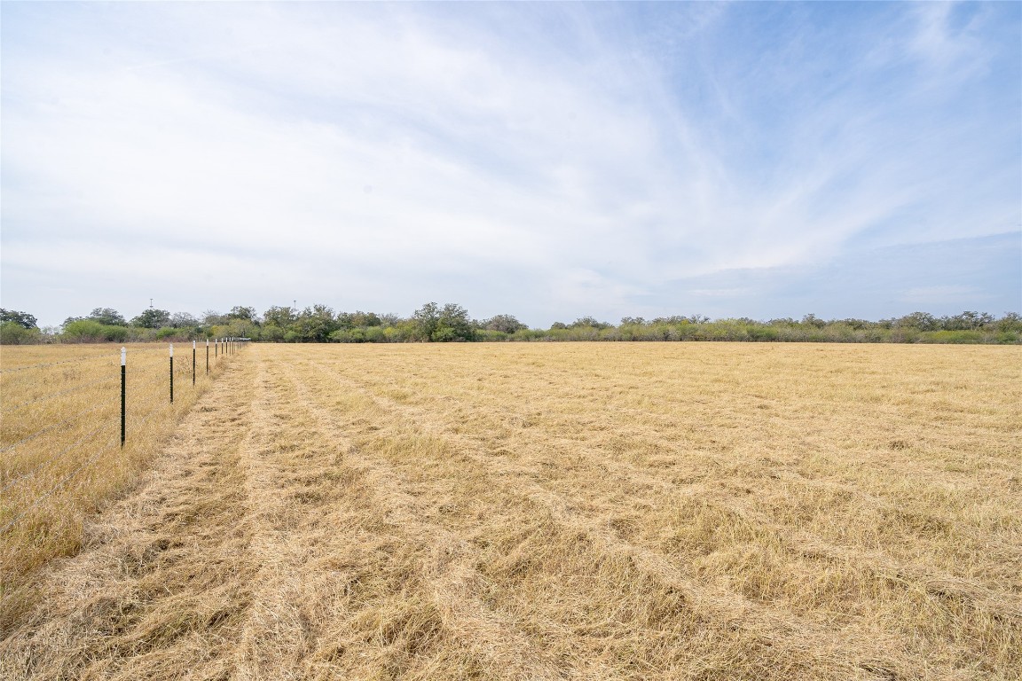 956 Johnson Farms Road Harwood, TX 78632 - Photo 6 of 24