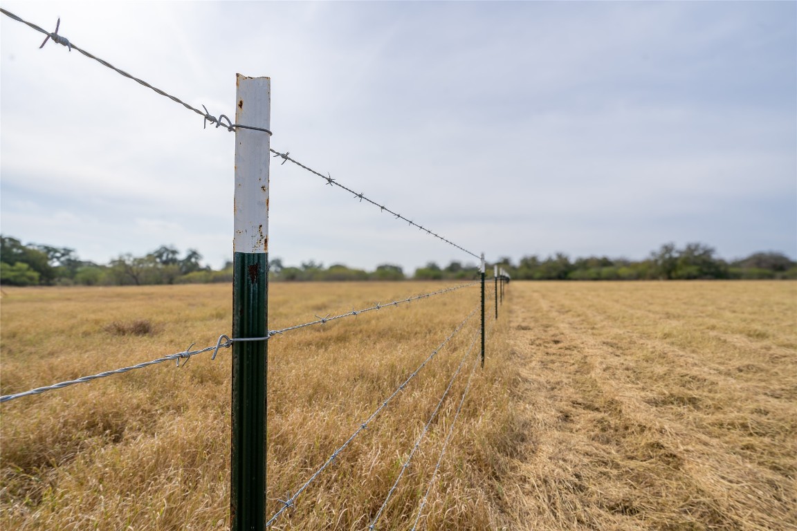 956 Johnson Farms Road Harwood, TX 78632 - Photo 7 of 24