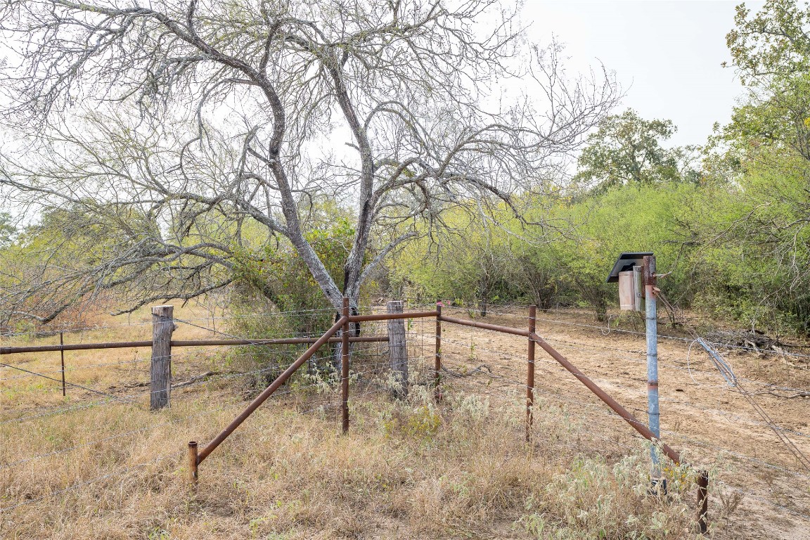 956 Johnson Farms Road Harwood, TX 78632 - Photo 10 of 24