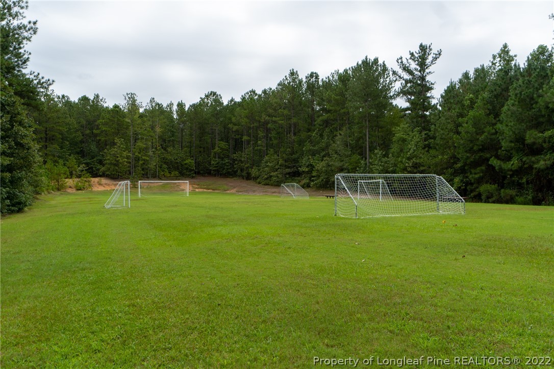 130 Barons Run East Spring Lake, NC 28390 - Photo 42 of 49 Gallery Image 42