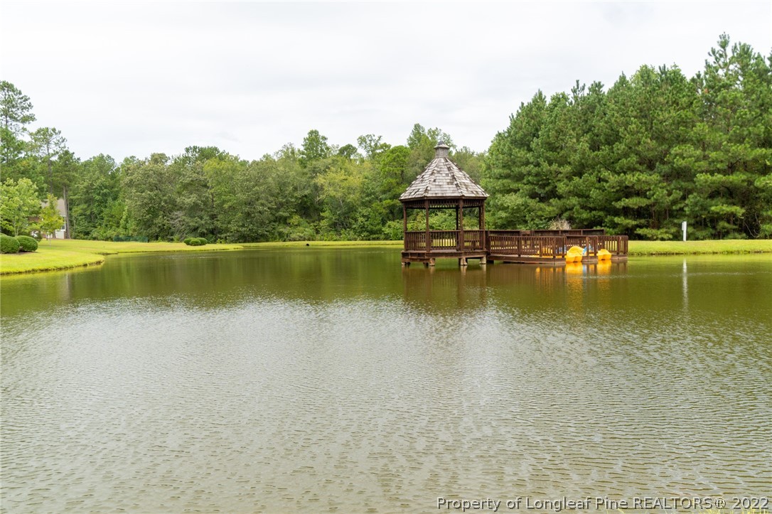 130 Barons Run East Spring Lake, NC 28390 - Photo 49 of 49 Gallery Image 49