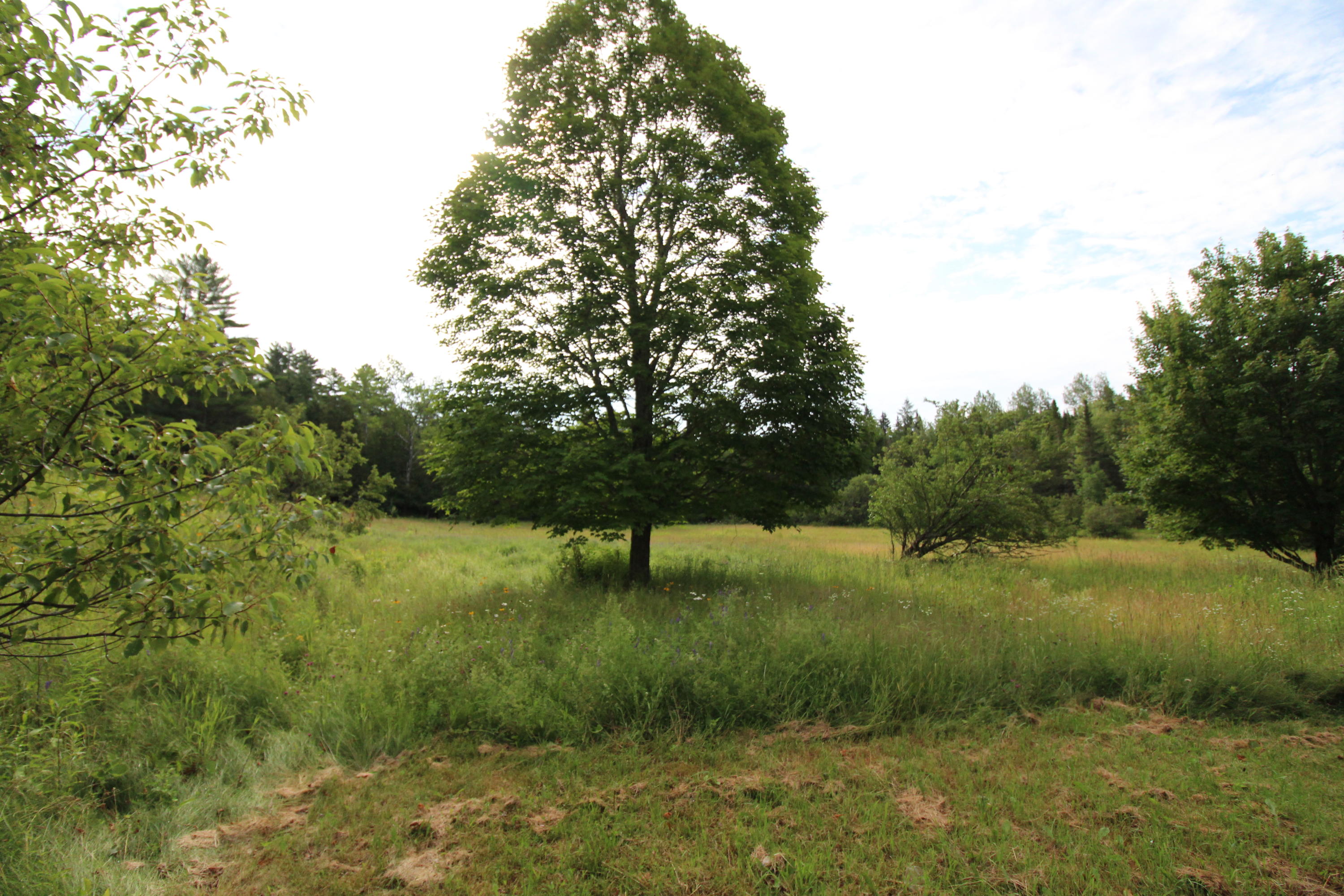 35 Smith Road Ellsworth, ME 04605 - Photo 32 of 32 IMG_0018