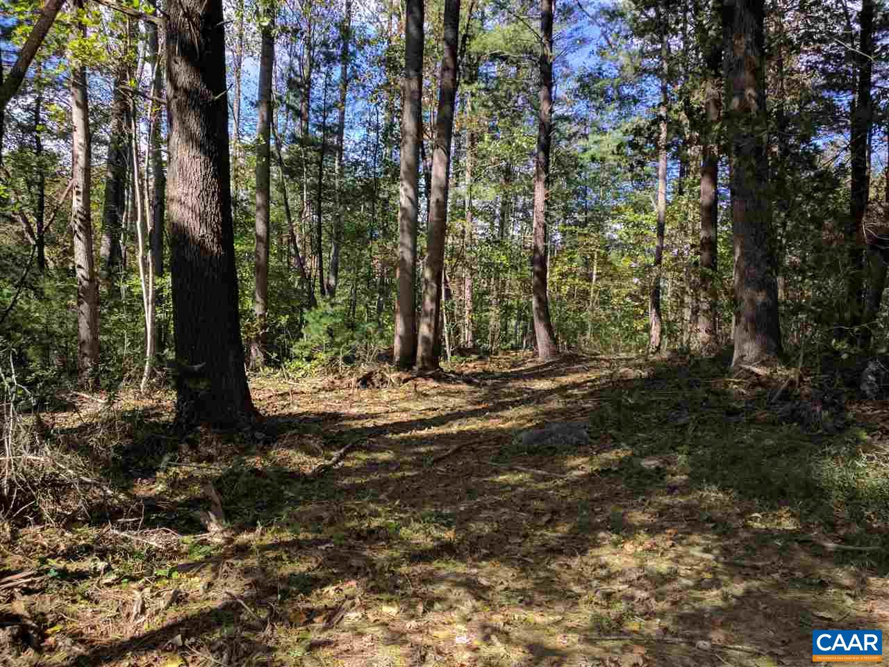 1 Bear Run Road Stanardsville, VA 22973 - Photo 4 of 5 Gallery Image 4