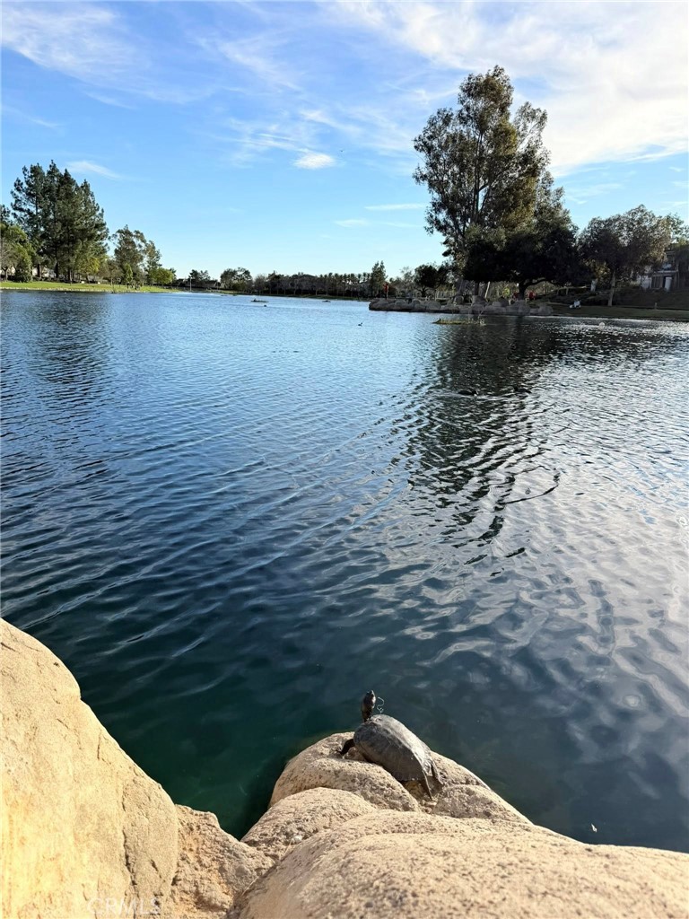 46 Celosia Rancho Santa Margarita, CA 92688 - Photo 37 of 39 RSM Lake