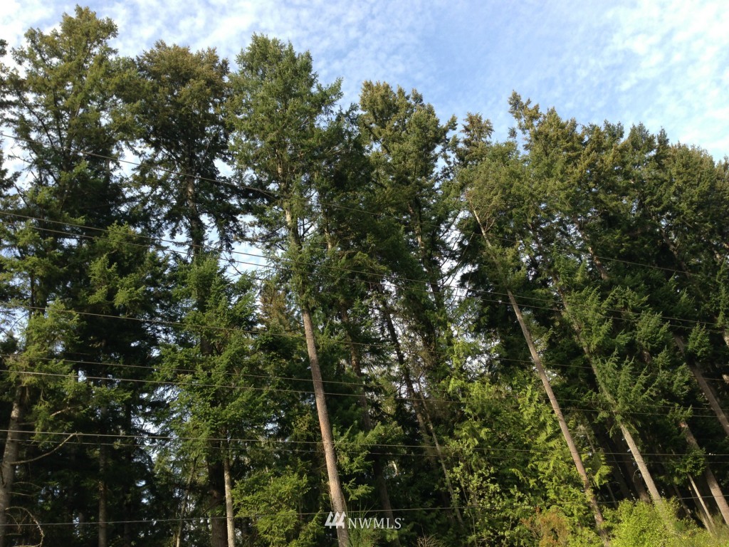 0 Northeast Gunderson Road Poulsbo, WA 98370 - Photo 2 of 3 Gallery Image 2